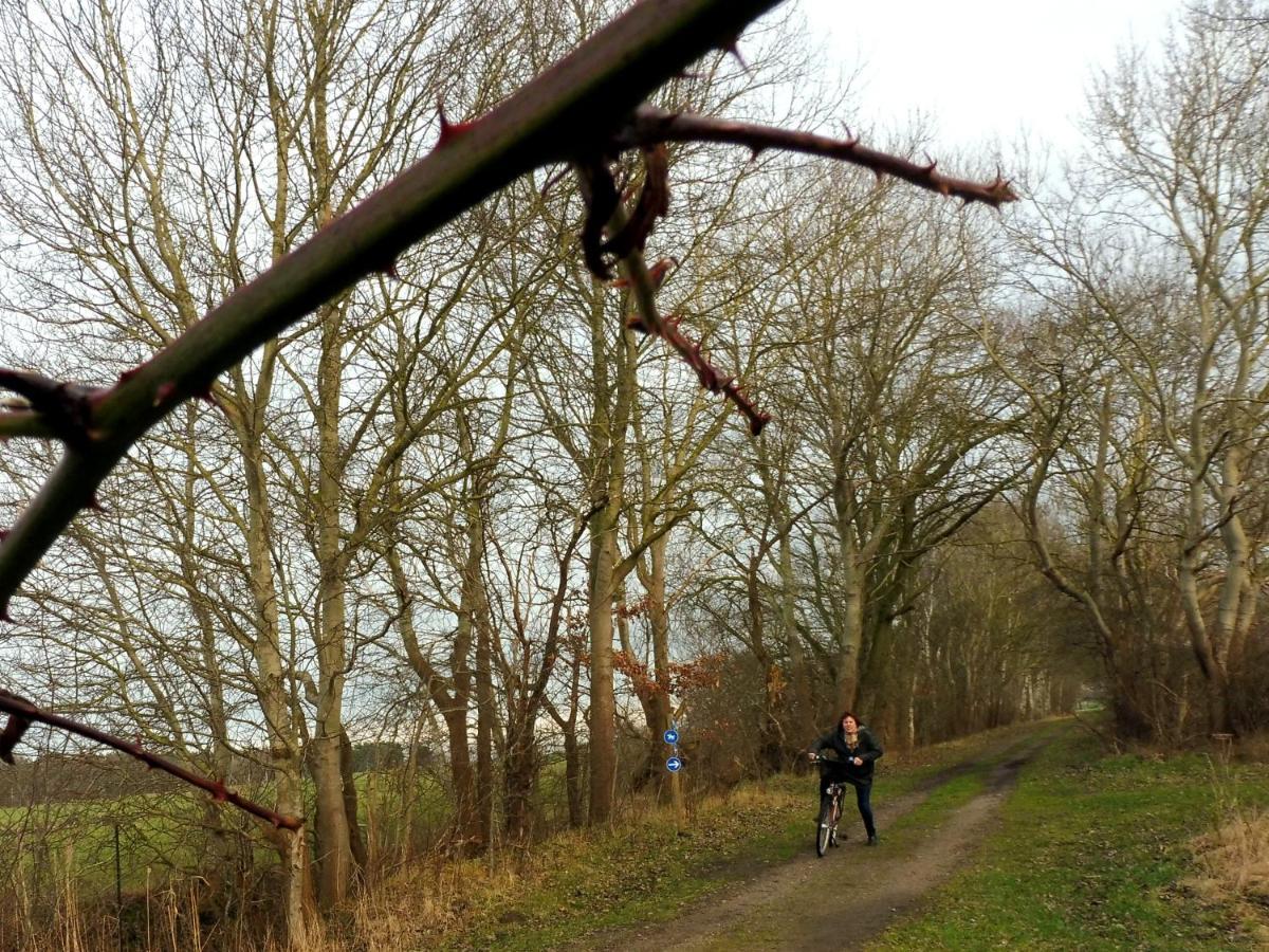 In Hafennaehe Dierhagen